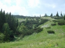 Wanderparadies Raxalpe